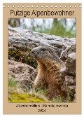 Putzige Alpenbewohner - Alpenmurmeltiere (Tischkalender 2024 DIN A5 hoch), CALVENDO Monatskalender - Ursula Di Chito