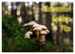 Schwammerl Egerlinge Pilze (Wandkalender 2025 DIN A3 quer), CALVENDO Monatskalender - Birte Zabel