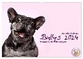 Bullys - Französische Bulldoggen 2024 (Wandkalender 2024 DIN A2 quer), CALVENDO Monatskalender - Jeanette Hutfluss