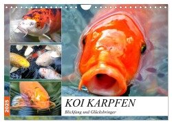 Koi Karpfen. Blickfang und Glücksbringer (Wandkalender 2025 DIN A4 quer), CALVENDO Monatskalender - Rose Hurley