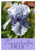 Traumhafte Iris (Wandkalender 2025 DIN A2 hoch), CALVENDO Monatskalender - Martina Cross