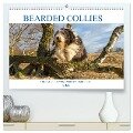 BEARDED COLLIES 2025 (hochwertiger Premium Wandkalender 2025 DIN A2 quer), Kunstdruck in Hochglanz - Annett Mirsberger