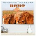 Rømø (hochwertiger Premium Wandkalender 2024 DIN A2 quer), Kunstdruck in Hochglanz - D. E. T. Photo Impressions