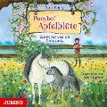 Cover-Bild zum Titel 'Ponyhof Apfelblüte. Sternchen und ein Geheimnis [Band 7]' von 'Pippa Young'