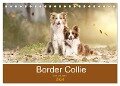 Border Collie - Bunt und clever! (Tischkalender 2024 DIN A5 quer), CALVENDO Monatskalender - Andrea Mayer Tierfotografie