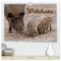 Wildschweine (hochwertiger Premium Wandkalender 2025 DIN A2 quer), Kunstdruck in Hochglanz - Martina Berg