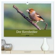 Der Kernbeißer und seine gefiederten Gesellen (hochwertiger Premium Wandkalender 2026 DIN A2 quer), Kunstdruck in Hochglanz - Ursula Di Chito