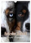 Australian Shepherd - Beste Freunde (Wandkalender 2024 DIN A4 hoch), CALVENDO Monatskalender - Youlia Youlia
