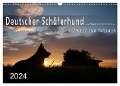 Deutscher Schäferhund / CH-Version (Wandkalender 2024 DIN A3 quer), CALVENDO Monatskalender - Petra Schiller