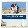 Mit Aussies unterwegs - Die bunte Welt der Australian Shepherds (hochwertiger Premium Wandkalender 2025 DIN A2 quer), Kunstdruck in Hochglanz - Annett Mirsberger