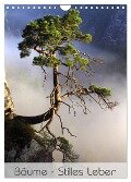 Bäume - Stilles Leben (Wandkalender 2025 DIN A4 hoch), CALVENDO Monatskalender - Jana Behr