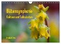 Blütensymphonie - Kakteen und Sukkulenten (Wandkalender 2024 DIN A4 quer), CALVENDO Monatskalender - Ursula Di Chito
