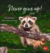 Never give up! Postkartenkalender 2026 - Durchhalten. Denn alles wird gut. - 