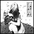 Cover-Bild zum Titel 'Death Index' von 'Death Index'