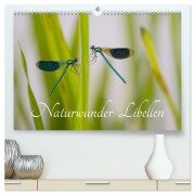 Cover-Bild zum Titel 'Naturwunder Libellen (hochwertiger Premium Wandkalender 2026 DIN A2 quer), Kunstdruck in Hochglanz' von 'Renee Söhner - Morgensraus'