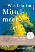 Was lebt im Mittelmeer - Matthias Bergbauer, Bernd Humberg