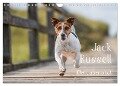 Jack Russell - Klein, aber oho! (Wandkalender 2024 DIN A4 quer), CALVENDO Monatskalender - Annett Mirsberger Tierpfoto. De