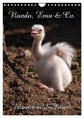 Nandu, Emu & Co. (Wandkalender 2024 DIN A4 hoch), CALVENDO Monatskalender - Martina Berg