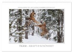 Emotionale Momente: Tiger - Kraft & Schönheit. / CH-Version (Wandkalender 2025 DIN A2 quer), CALVENDO Monatskalender - Ingo Gerlach GDT