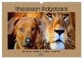 Rhodesian Ridgeback der Hund mit dem Tropfen Löwenblut (Wandkalender 2024 DIN A3 quer), CALVENDO Monatskalender - Dagmar Behrens