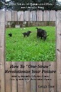 How To "One-Straw" Revolutionize Your Pasture: Adapting Masanobu Fukuoka's Natural Farming Methods for Permaculture Pasture (The Little Series of Homestead How-Tos from 5 Acres & A Dream, #13) - Leigh Tate
