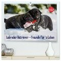 Labrador Retriever - Freunde für¿s Leben (hochwertiger Premium Wandkalender 2025 DIN A2 quer), Kunstdruck in Hochglanz - Sigrid Starick