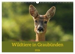 Wildtiere in Graubünden (Wandkalender 2026 DIN A3 quer), CALVENDO Monatskalender - Jürg Plattner