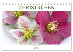 Christrosen (Tischkalender 2026 DIN A5 quer), CALVENDO Monatskalender - Gisela Kruse