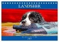Landseer - Ein starker Freund auf 4 Pfoten (Tischkalender 2024 DIN A5 quer), CALVENDO Monatskalender - Sigrid Starick