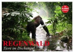 Regenwald. Tiere im Dschungel (Wandkalender 2025 DIN A2 quer), CALVENDO Monatskalender - Elisabeth Stanzer