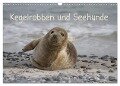 Kegelrobben und Seehunde (Wandkalender 2024 DIN A3 quer), CALVENDO Monatskalender - Antje Lindert-Rottke