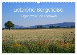 Liebliche Bergstraße - Burgen, Wein und Fachwerk (Wandkalender 2025 DIN A3 quer), CALVENDO Monatskalender - Ilona Andersen