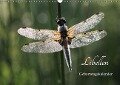 Libellen Geburtstagskalender (Wandkalender immerwährend DIN A3 quer) - Gudrun Nitzold-Briele