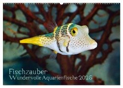Fischzauber - Wundervolle Aquarienfische (Wandkalender 2025 DIN A2 quer), CALVENDO Monatskalender - Rainer Plett