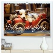 Lieblingsschlafplätze (hochwertiger Premium Wandkalender 2026 DIN A2 quer), Kunstdruck in Hochglanz - Daniela Tapper
