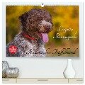Lagotto Romagnolo - Italienischer Trüffelhund (hochwertiger Premium Wandkalender 2025 DIN A2 quer), Kunstdruck in Hochglanz - Sigrid Starick