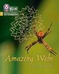 Amazing Webs - Clare Helen Welsh