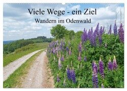 Viele Wege - ein Ziel Wandern im Odenwald (Wandkalender 2025 DIN A2 quer), CALVENDO Monatskalender - Ilona Andersen