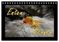 Enten-Rennen (Tischkalender 2024 DIN A5 quer), CALVENDO Monatskalender - Jörg Sobottka