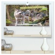 Wolf - wild und schön (hochwertiger Premium Wandkalender 2026 DIN A2 quer), Kunstdruck in Hochglanz - Tanja Riedel