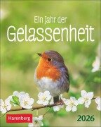 Ein Jahr der Gelassenheit Mini-Geschenkkalender 2026 - Ann Christin Artel
