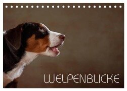 Welpenblicke (Tischkalender 2026 DIN A5 quer), CALVENDO Monatskalender - Jana Behr