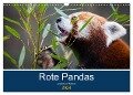Rote Pandas - geschickte Kletterer (Wandkalender 2024 DIN A3 quer), CALVENDO Monatskalender - Cloudtail The Snow Leopard