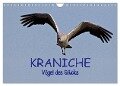 Kraniche - Vögel des Glücks (Wandkalender 2024 DIN A4 quer), CALVENDO Monatskalender - Ralf Weise