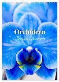 Orchideen - Tropische Schönheiten (Wandkalender 2024 DIN A3 hoch), CALVENDO Monatskalender - Nina Schwarze
