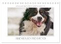 Emotionale Momente: Berner Sennenhund. (Tischkalender 2024 DIN A5 quer), CALVENDO Monatskalender - Ingo Gerlach GDT