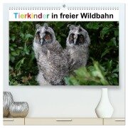 Tierkinder in freier Wildbahn (hochwertiger Premium Wandkalender 2026 DIN A2 quer), Kunstdruck in Hochglanz - Günter Bachmeier