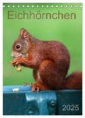 Eichhörnchen (Tischkalender 2025 DIN A5 hoch), CALVENDO Monatskalender - SchnelleWelten SchnelleWelten