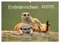 Erdmännchen - Tierkinder (Wandkalender 2024 DIN A2 quer), CALVENDO Monatskalender - Michael Weber