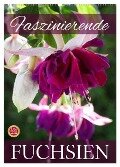 Faszinierende Fuchsien (Wandkalender 2025 DIN A2 hoch), CALVENDO Monatskalender - Martina Cross